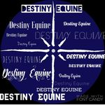 Destiny Equine