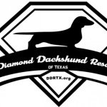 Diamond Dachshund Rescue Of TX