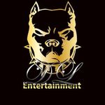 DL ENTERTAINMENT