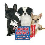 Doggie District Pet Resort