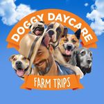 🌳🎾 FARM DOGGY DAYCARE 🎾🌳