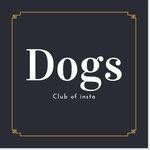 Dogs Club