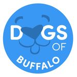 Dogs Of Buffalo