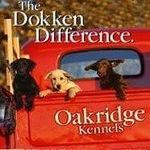 Dokkens Oak Ridge Kennels