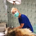 👩🏼‍⚕️ Doktor Roksana Parczyk 🐾