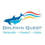 Dolphin Quest