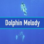 🐬Melody