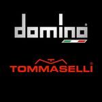 Domino Racing