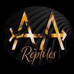 Double A Arrow Reptiles