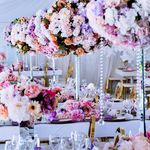 Event Planner/Decorator