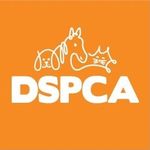 DSPCA Animal Rescue & Adoption