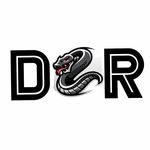 Team DSR