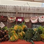 Local Growers Market Dungog