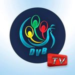 DVB in Photos