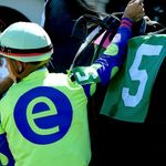 e Five Racing Thoroughbreds