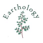 Ｅａｒｔｈｏｌｏｇｙ• organic food wraps