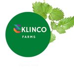 Eklinco Farms