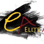 Elite Academy