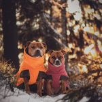 STAFFYGRAM of Elsi and Vilu