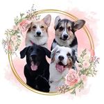 Atlas | Jordan | Lilly Atlas | Jordan | Lilly