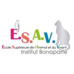 ESAV Institut Bonaparte