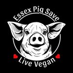 Essex Pig Save