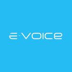 E-Voice Marketing Consulting