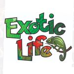 Exotic Life BSB