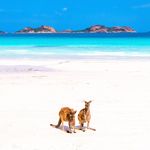 Tourism Esperance