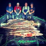 Extreme Bowfishing