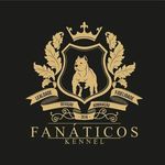 FANÁTICOS KENNEL