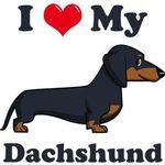 Fan Dachshund Love