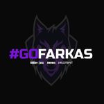 Farkas Esports