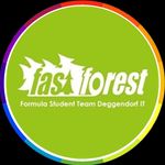 Fast Forest