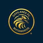 Gavilanes FC Matamoros