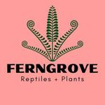 Ferngrove Reptiles