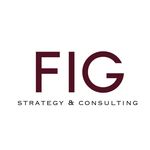 FIG Firm | DEI Consultants