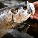 FISHING VIDEOS