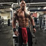 fitness therock