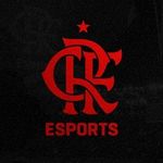 Flamengo Esports