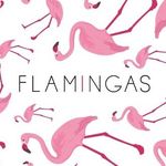 Flamingas