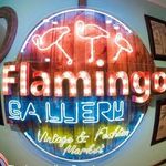 Flamingos Gallery