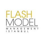 Flash Model Management