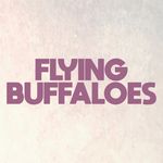 Flying Buffaloes