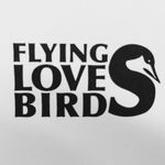 Flying Love Birds
