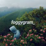 foggygram™️