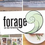 Forage_OnThe_Foreshore