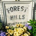 Forest Hills Nurseries