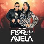 FORRÓ FLOR DE AVELÃ🎤