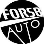 Forsb.Auto/Elliot Forssblad